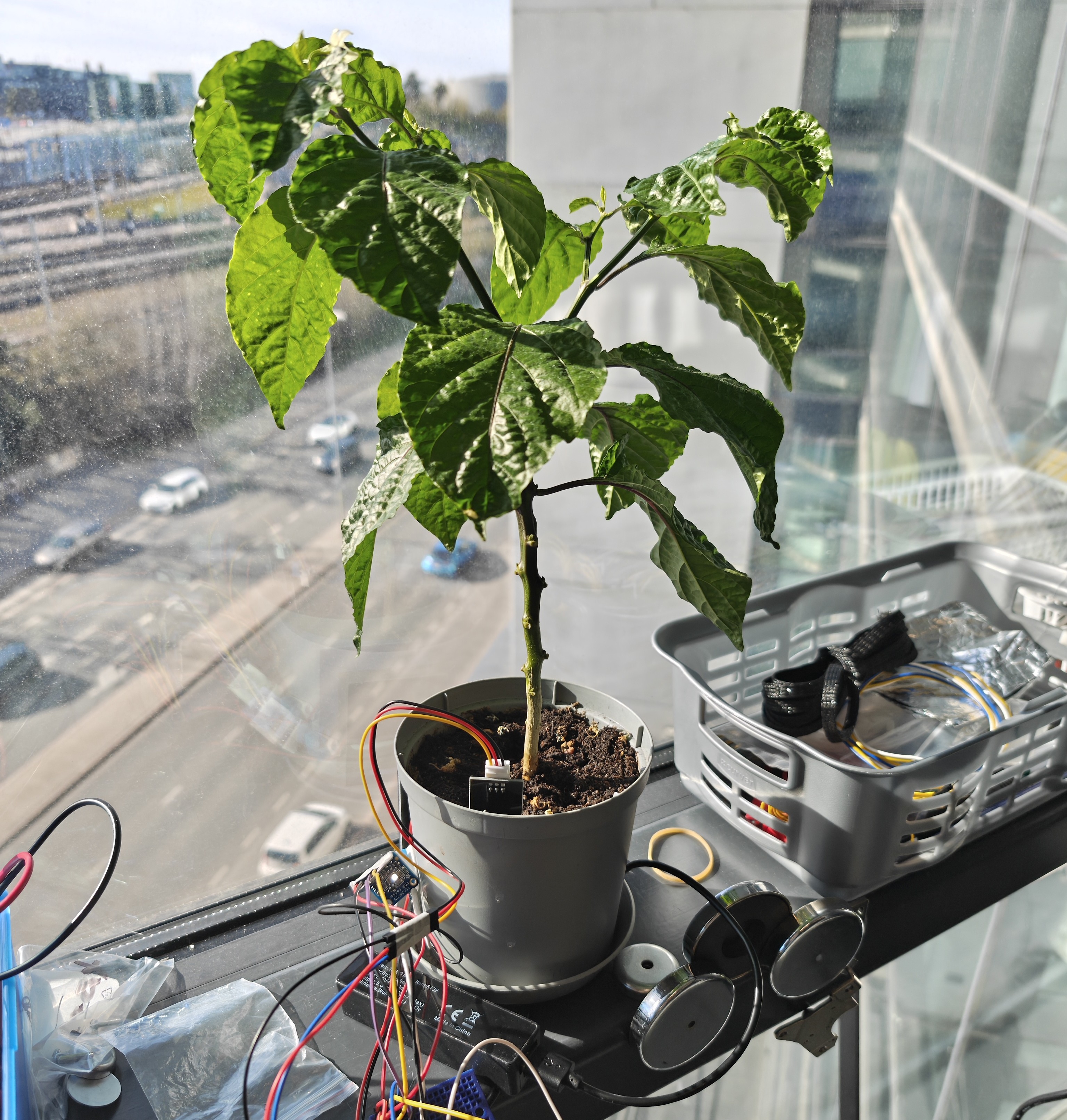 Rootnet Smart Pot